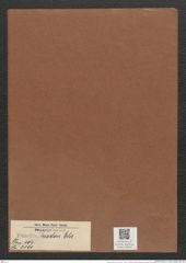 Eunotia triodon Ehr. (de-Toni-Nr.: Genus 104, Species 3180) Zeichnungen Sammlung Grunow Mappe 03422 (Herbarium_W_Grunow_drawings_Folder_03422)